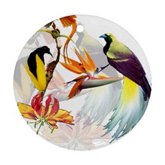 Birds Of Paradise Ornament (round) by TKKdesignsCo