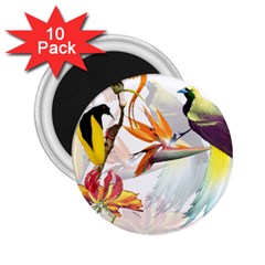 Birds Of Paradise 2 25  Magnets (10 Pack)  by TKKdesignsCo