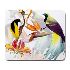 Birds Of Paradise Large Mousepads