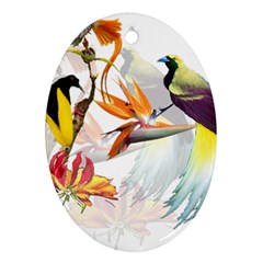 Birds Of Paradise Oval Ornament (two Sides) by TKKdesignsCo