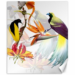 Birds Of Paradise Canvas 8  X 10  by TKKdesignsCo