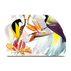 Exotic Birds Of Paradise And Flowers Watercolor Plate Mats by TKKdesignsCo