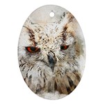 Bird Owl Animal Art Abstract Oval Ornament (Two Sides) Front