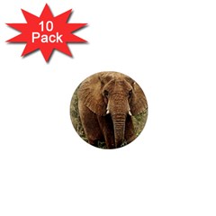 Elephant Animal Art Abstract 1  Mini Magnet (10 Pack) 