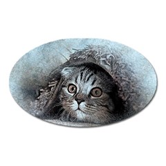 Cat Pet Art Abstract Vintage Oval Magnet by Celenk
