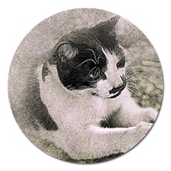 Cat Pet Art Abstract Vintage Magnet 5  (round) by Celenk
