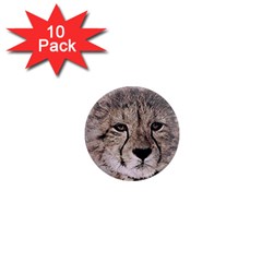 Leopard Art Abstract Vintage Baby 1  Mini Magnet (10 Pack)  by Celenk