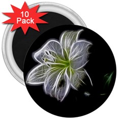 White Lily Flower Nature Beauty 3  Magnets (10 Pack)  by Celenk