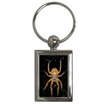 Nsect Macro Spider Colombia Key Chains (Rectangle)  Front