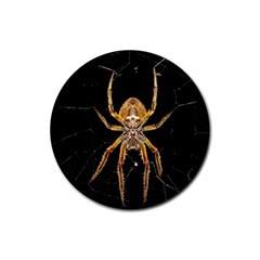Nsect Macro Spider Colombia Rubber Coaster (round)  by Celenk