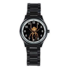 Nsect Macro Spider Colombia Stainless Steel Round Watch by Celenk