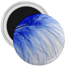 Spring Blue Colored 3  Magnets by Celenk