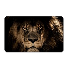 African Lion Mane Close Eyes Magnet (rectangular) by Celenk