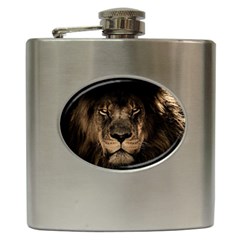 African Lion Mane Close Eyes Hip Flask (6 Oz) by Celenk