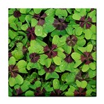 Luck Klee Lucky Clover Vierblattrig Tile Coasters Front