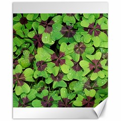 Luck Klee Lucky Clover Vierblattrig Canvas 16  x 20  