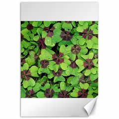 Luck Klee Lucky Clover Vierblattrig Canvas 20  x 30  