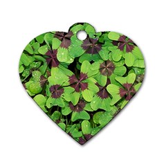 Luck Klee Lucky Clover Vierblattrig Dog Tag Heart (One Side)