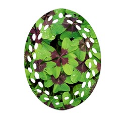 Luck Klee Lucky Clover Vierblattrig Oval Filigree Ornament (Two Sides)