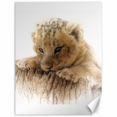 Lion Cub Close Cute Eyes Lookout Canvas 18  X 24   by Celenk