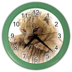 Lion Cub Close Cute Eyes Lookout Color Wall Clocks by Celenk