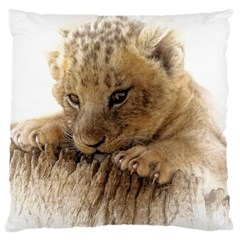 Lion Cub Close Cute Eyes Lookout Large Cushion Case (two Sides) by Celenk