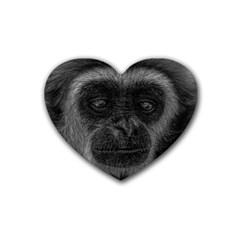 Gibbon Wildlife Indonesia Mammal Rubber Coaster (heart)  by Celenk