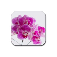 Orchid Phaleonopsis Art Plant Rubber Coaster (square) 