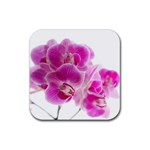 Orchid Phaleonopsis Art Plant Rubber Coaster (Square)  Front