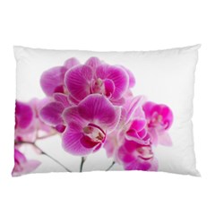 Orchid Phaleonopsis Art Plant Pillow Case by Celenk