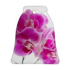 Orchid Phaleonopsis Art Plant Bell Ornament (two Sides) by Celenk