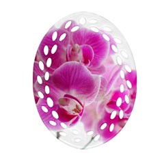 Orchid Phaleonopsis Art Plant Oval Filigree Ornament (two Sides) by Celenk