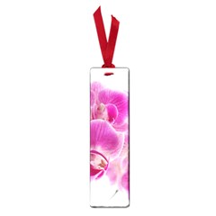 Orchid Phaleonopsis Art Plant Small Book Marks by Celenk