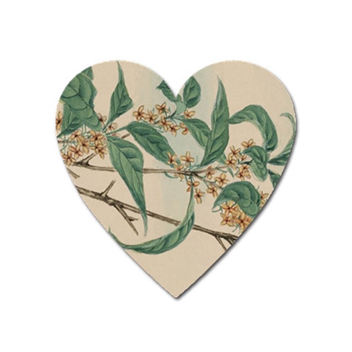 Vintage Watercolour Watercolor Heart Magnet