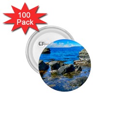 Shoreline Sea Coast Beach Ocean 1 75  Buttons (100 Pack)  by Celenk