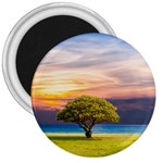 Tree Sea Grass Nature Ocean 3  Magnets Front