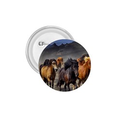 Horses Stampede Nature Running 1 75  Buttons by Celenk