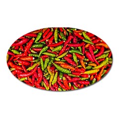 Chilli Pepper Spicy Hot Red Spice Oval Magnet by Celenk