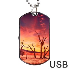 Desert Arid Dry Drought Landscape Dog Tag Usb Flash (one Side) by Celenk