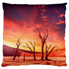 Desert Arid Dry Drought Landscape Large Flano Cushion Case (one Side) by Celenk