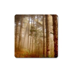 Forest Trees Wood Branc Square Magnet