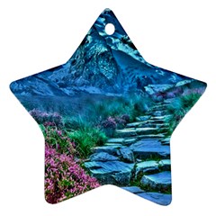 Pathway Nature Landscape Outdoor Star Ornament (two Sides)
