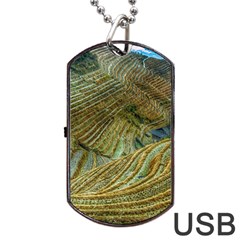 Rice Field China Asia Rice Rural Dog Tag Usb Flash (one Side) by Celenk