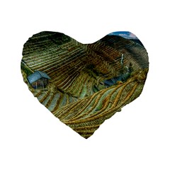 Rice Field China Asia Rice Rural Standard 16  Premium Flano Heart Shape Cushions by Celenk