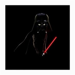 Darth Vader Cat Medium Glasses Cloth (2-side) by Valentinaart