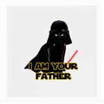 Darth Vader Cat Medium Glasses Cloth (2-Side) Back