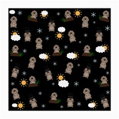 Groundhog Day Pattern Medium Glasses Cloth by Valentinaart