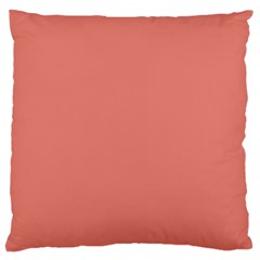 Late Peach Large Cushion Case (one Side)