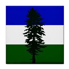 Flag Of Cascadia Face Towel by abbeyz71