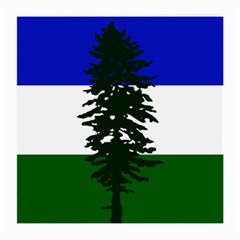 Flag Of Cascadia Medium Glasses Cloth by abbeyz71